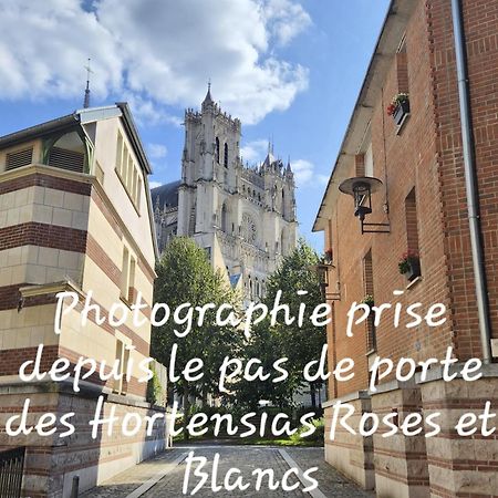 Les Hortensias Blancs Studio Amiens Eksteriør bilde