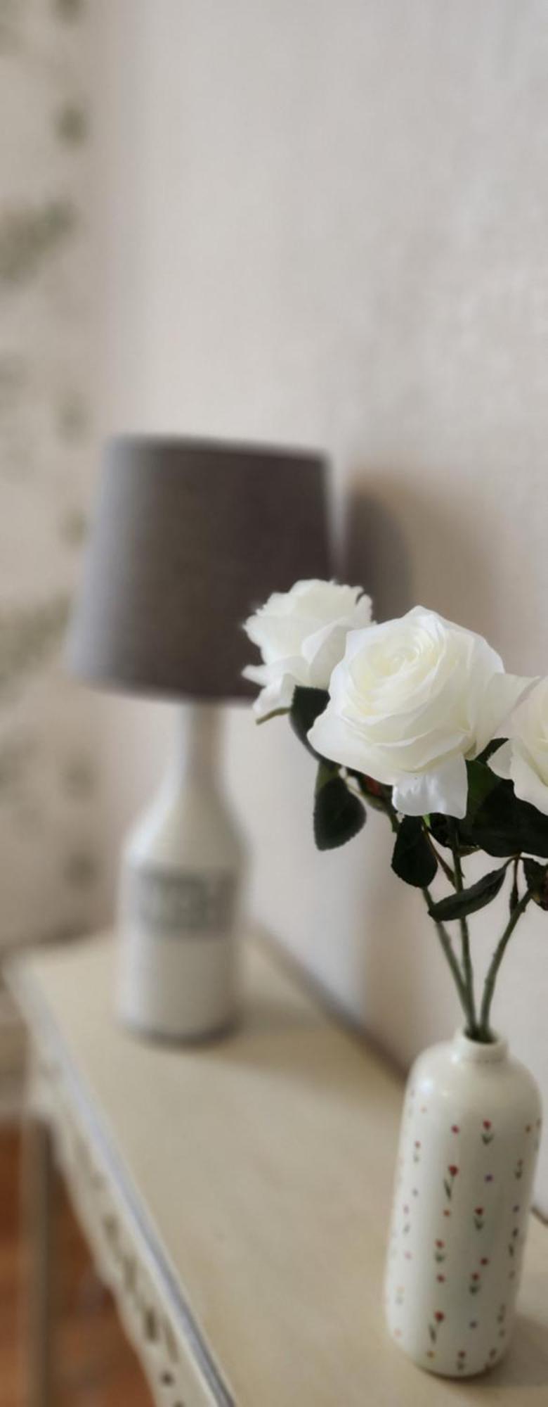 Les Hortensias Blancs Studio Amiens Eksteriør bilde